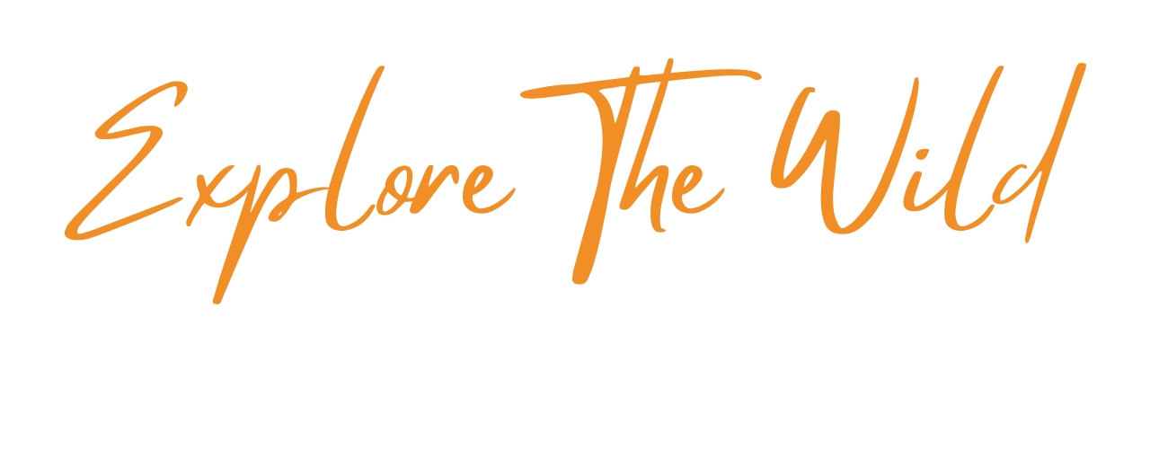 explore the wild